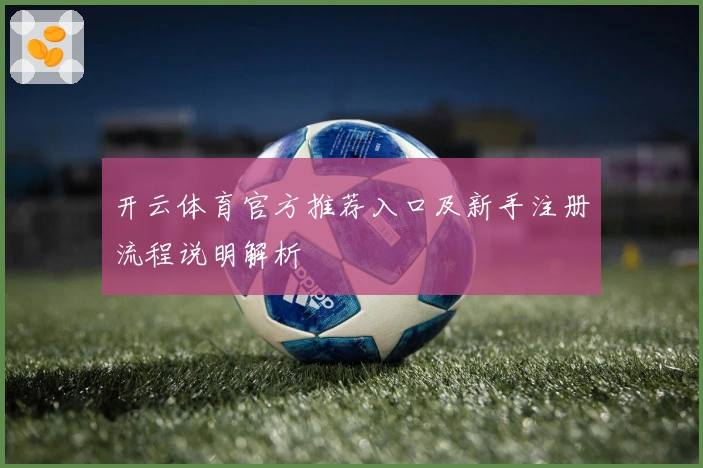 开云体育官方推荐入口及新手注册流程说明解析
